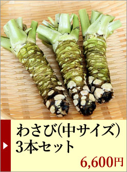 わさび栽培発祥の地「有東木」の本わさび 中サイズ3本とさめ吉（ミニ
