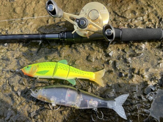 22カルカッタコンクエスト201xg インプレ！シーバスゲームなどソルトで