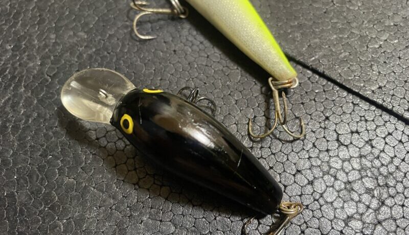 ブラックバスの夜釣り攻略法！ポイントの探し方～釣れるルアーの選び方