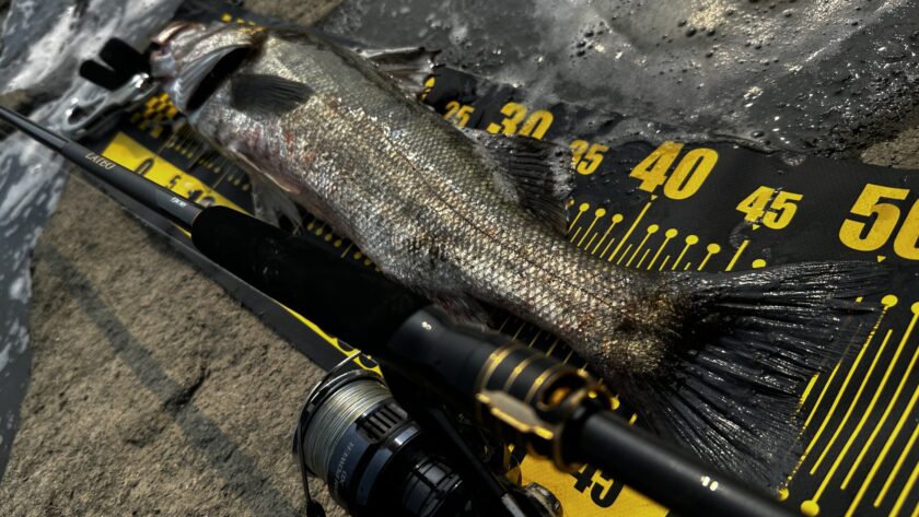 24ラテオ93M/MHのインプレ！実釣感想とコスパ抜群の旧作から進化した