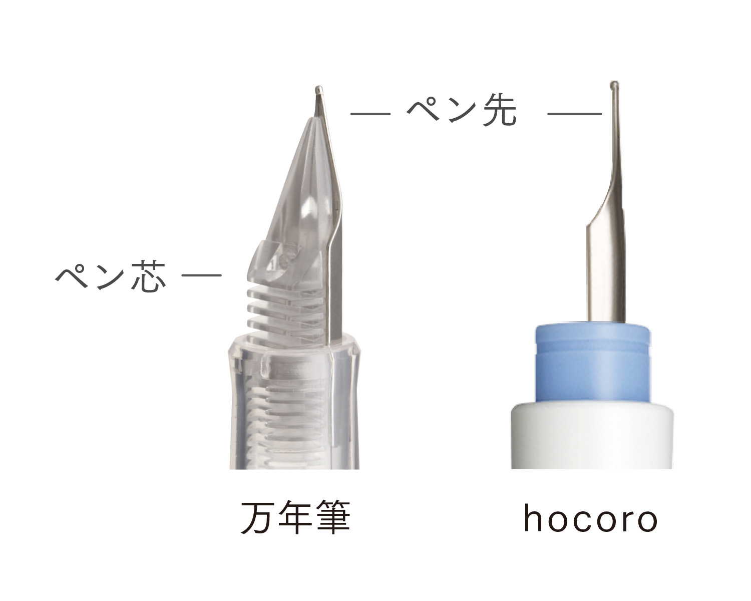 万年筆ペン先のつけペン hocoro ダブル | セーラー万年筆