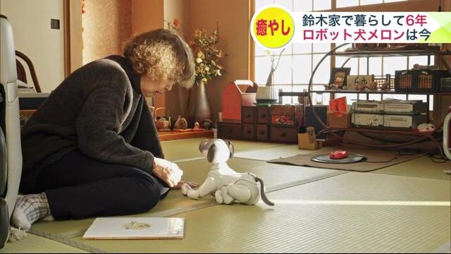 次の“ななちゃん”はロボット…北海道に移住したロボット犬が大活躍！第