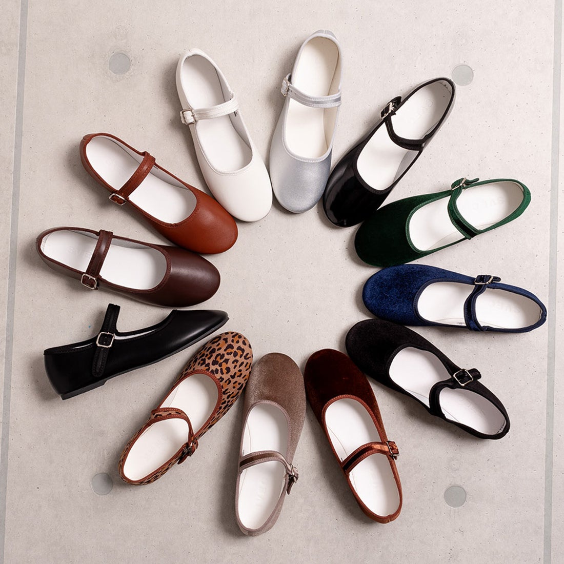 シュベック SVEC カンフーシューズ kung fu Shoes / ストラップ