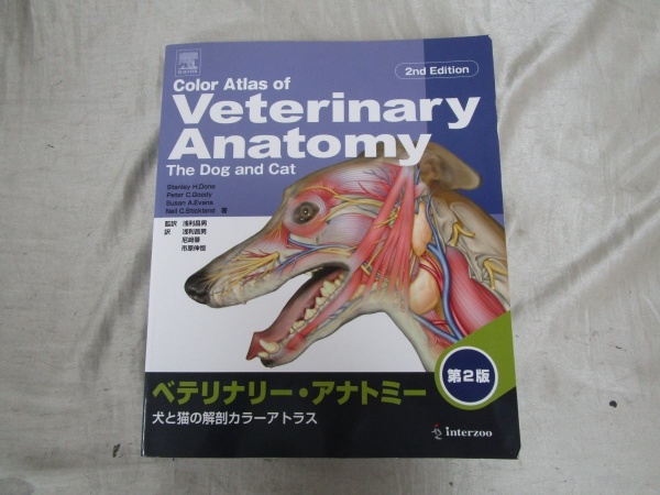 インターズーの本・雑誌・ディスクの高価買取は藍青堂書林｜お知らせ