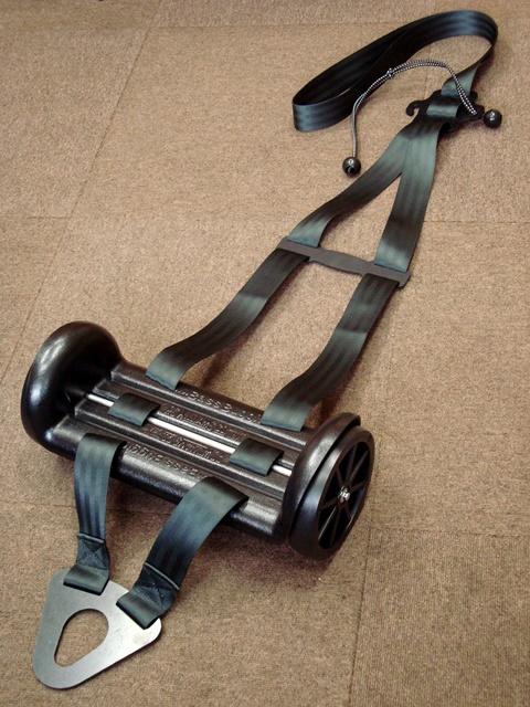 ベースバギー - ゼーレ弦楽器工房