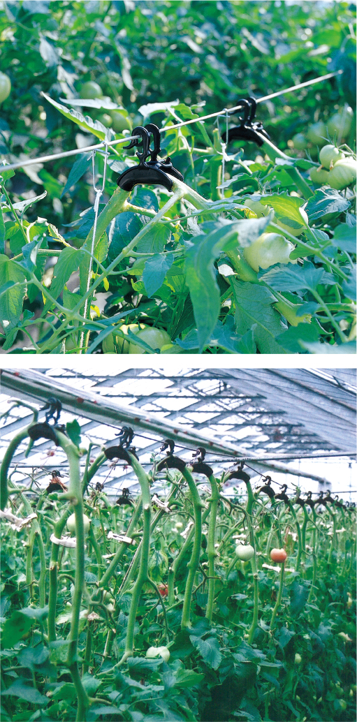 商品紹介】ターンハンガーM ｜有限会社シーム