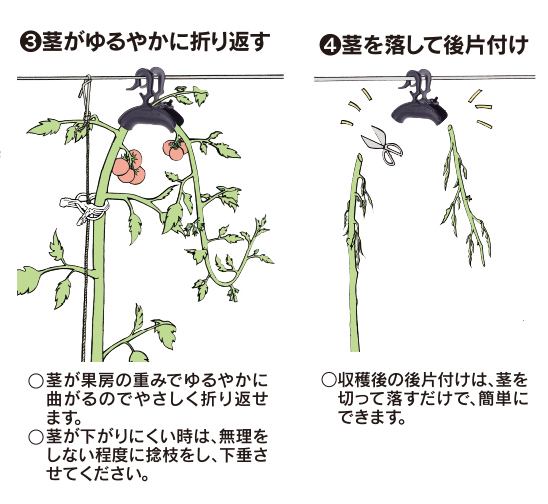 商品紹介】ターンハンガーM ｜有限会社シーム