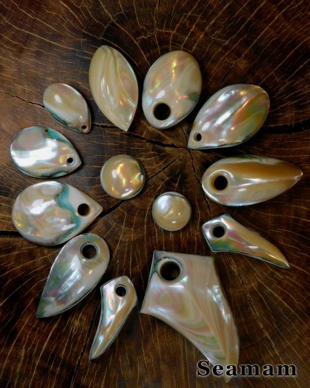 kijihata2023 夜光貝真珠磨き6と7 2個 kijihata2023 夜光貝真珠磨き6