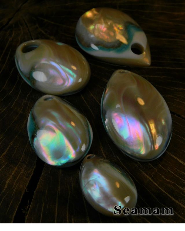 夜光貝磨き体験用パーツ≪二重真珠層パーツ≫ - Seamam夜光貝