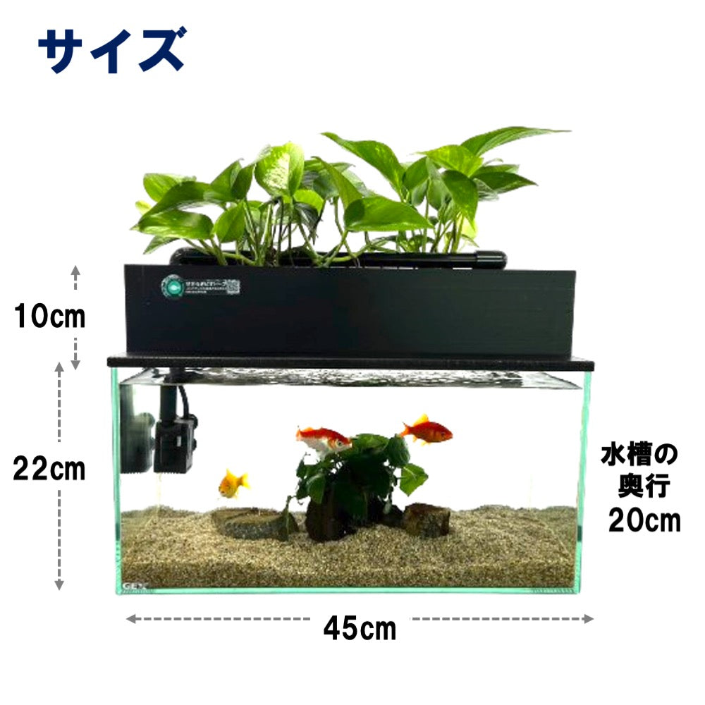 45cmスリム型せせらぎビオトープ水槽セット（黒）約17L 照明なし