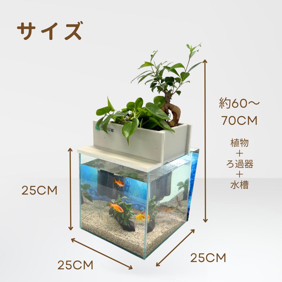 25cm型 せせらぎビオトープ 基本＋木枠・台セット 照明あり【送料無料