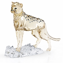 SWAROVSKI SCS MEMBER PRODUCTS 2022 - 2023
