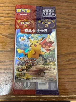 韓国ポケモンタウン2025限定 メタモン ピカチュウ ラプラス ビック