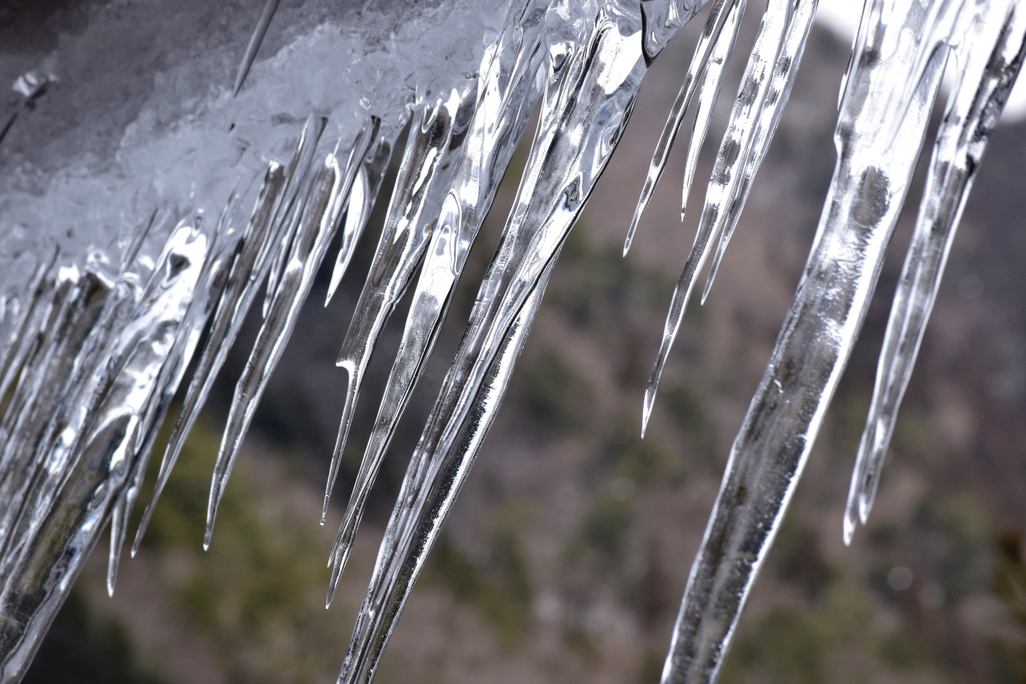 秩父三大氷柱】ライトアップもされる埼玉県の巨大つららの氷結時期