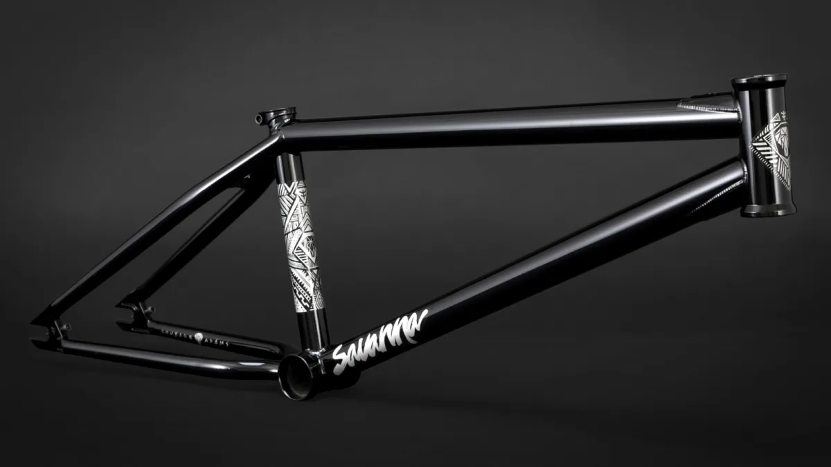 Productivity: Fly Bikes 2019 - DigBMX