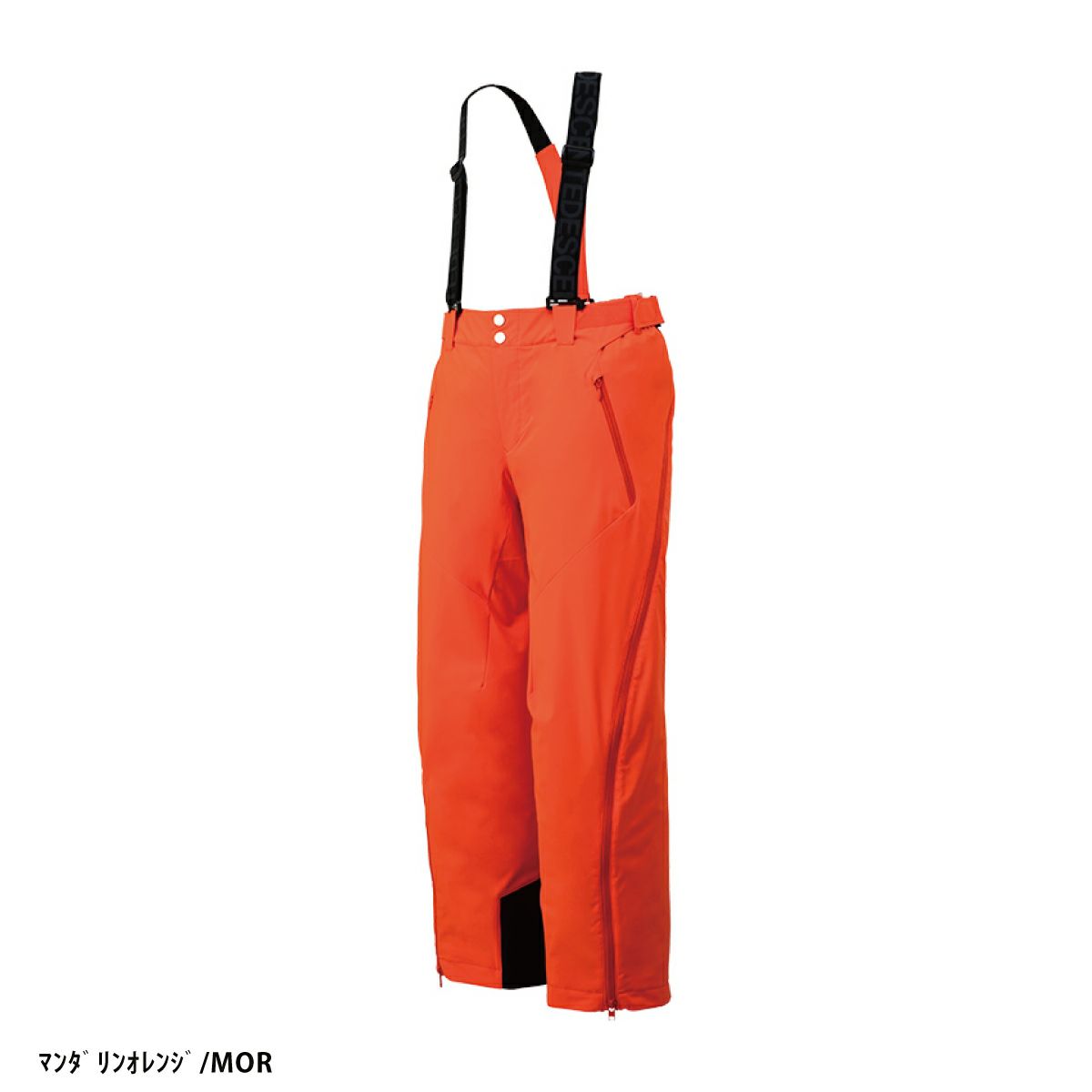 スキーウェア スキーパンツ デサント パンツ DESCENTE メンズ