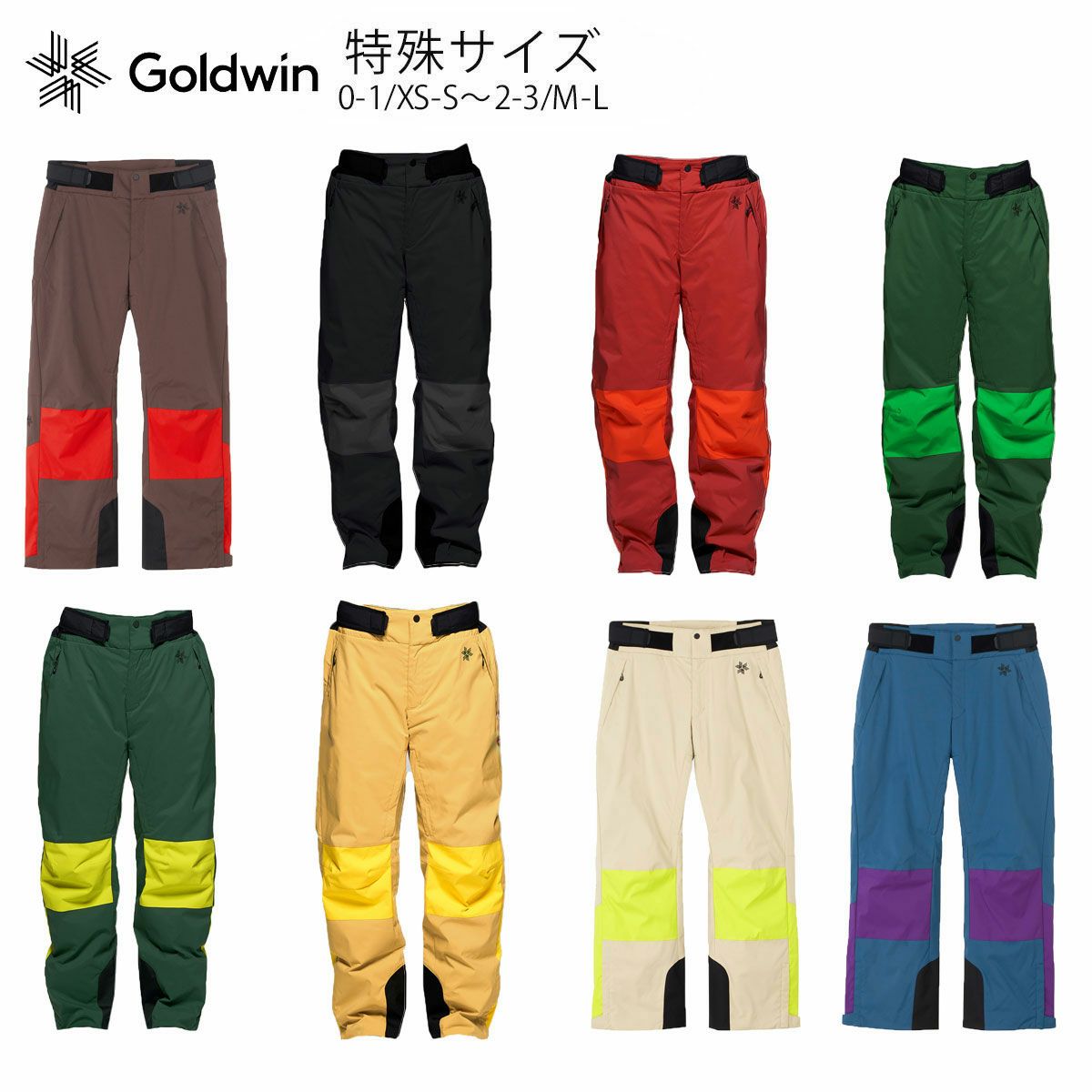 スキーウェア スキーパンツ パンツ ゴールドウイン Goldwin メンズ