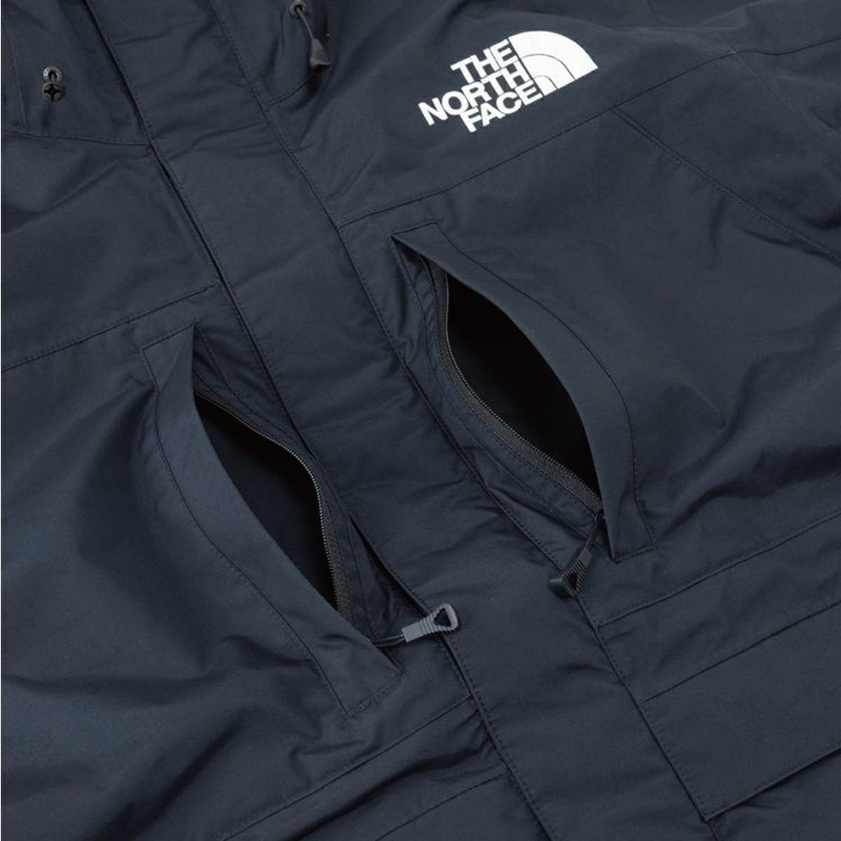 スキーウェア メンズ スキージャケット THE NORTH FACE ザ・ノース
