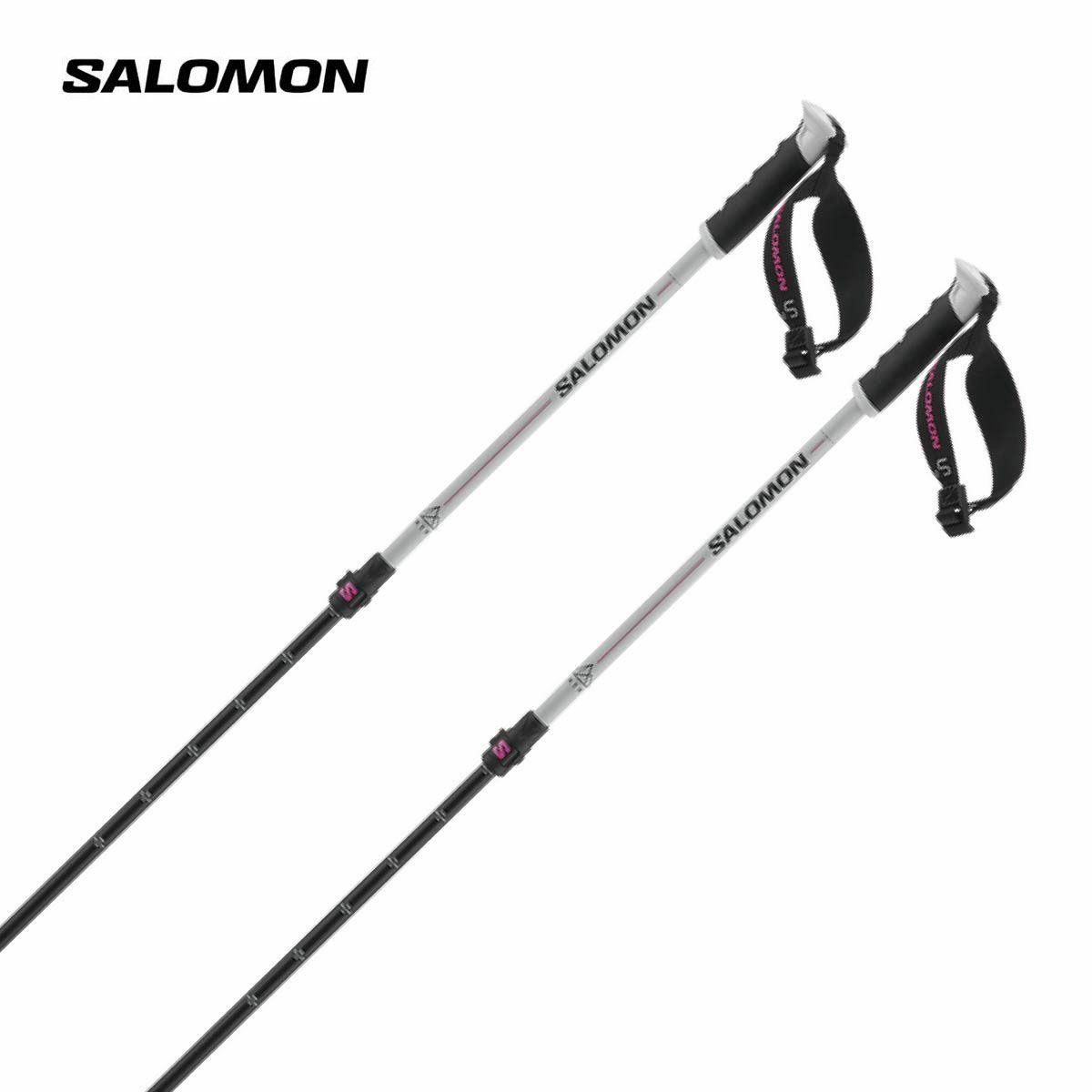 SALOMON】サロモンスキーストックポールならスキー用品通販ショップ
