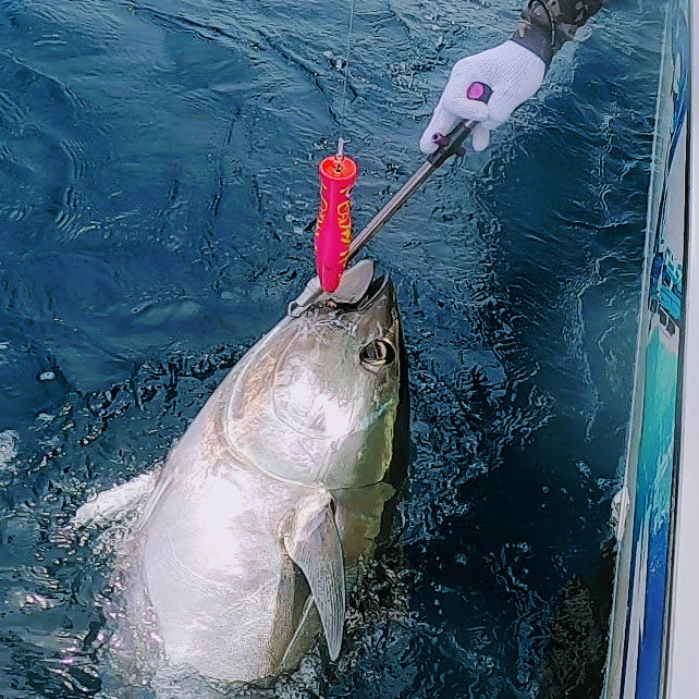 スカイグレイ コイノボリポッパー コイノボリ デブネコ スカイグレイ