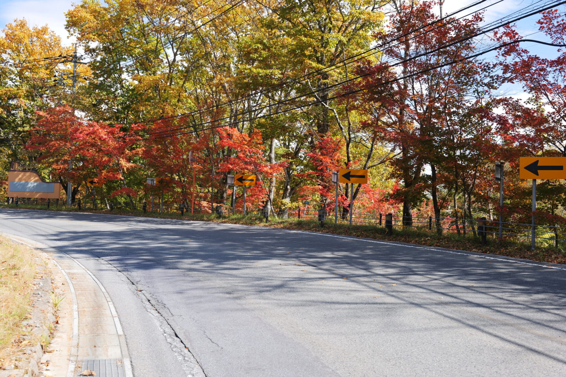 静可山入口付近の紅葉 2023年10月21日撮影 – 【公式】草津温泉 草津