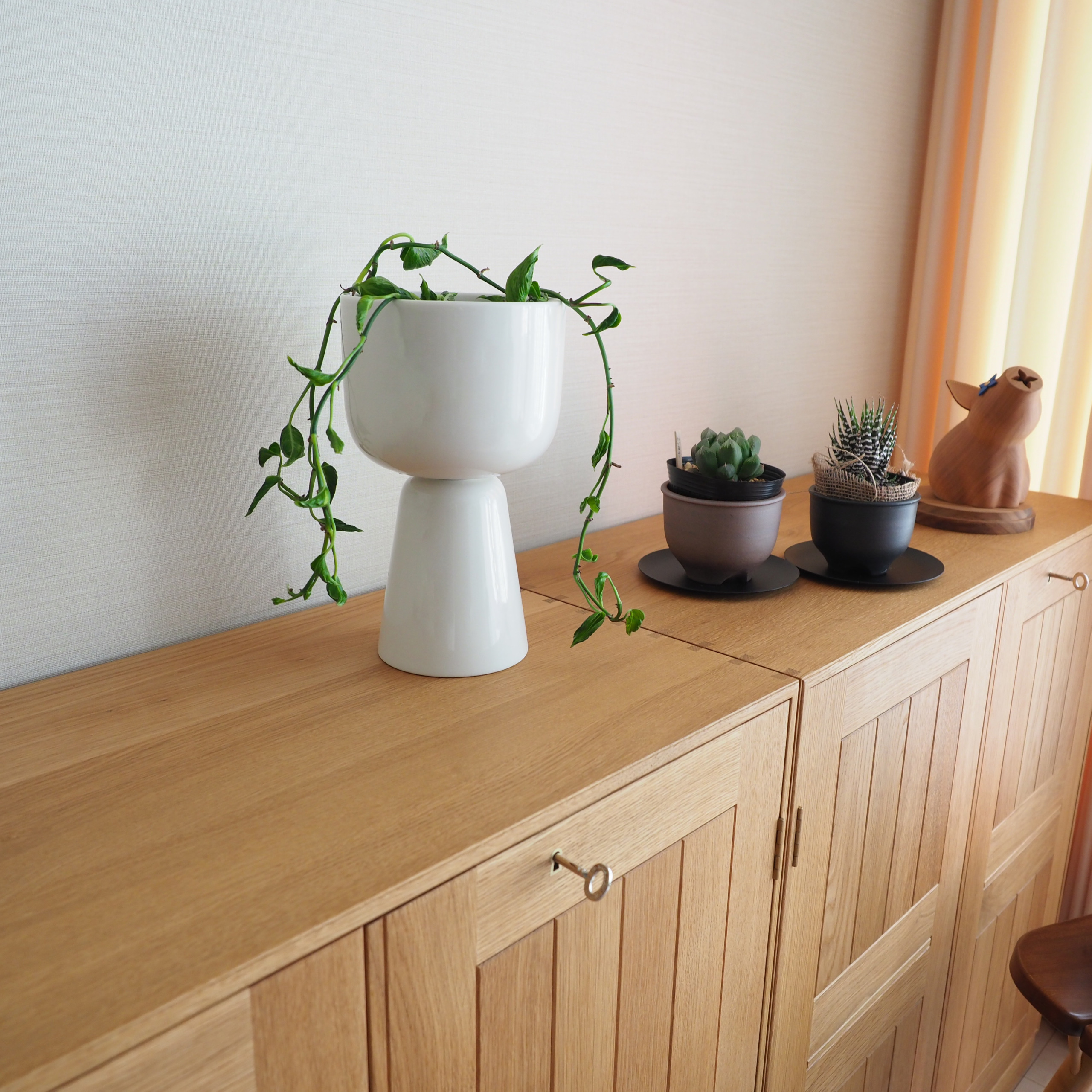 入れるだけ】植物がオシャレになる鉢カバー【イッタラのプラントポット