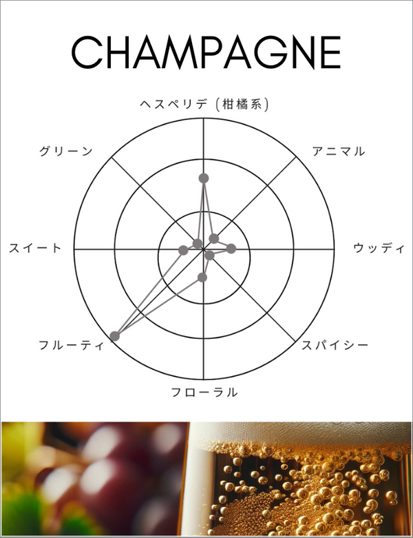 ディフューザー｜シャンパン｜200ml – SHOLAYERED