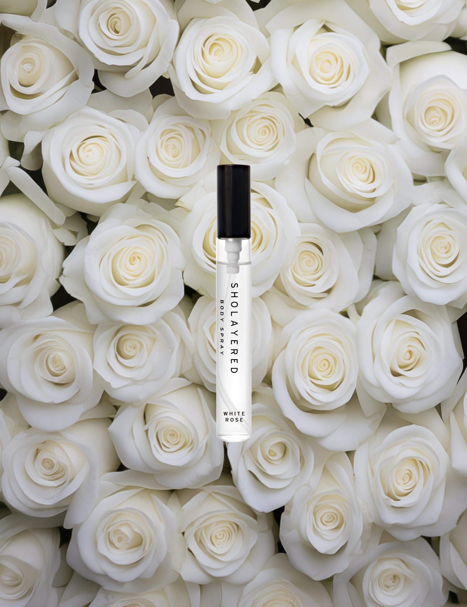 bs10_new_wr_0_1600x.jpg?v=