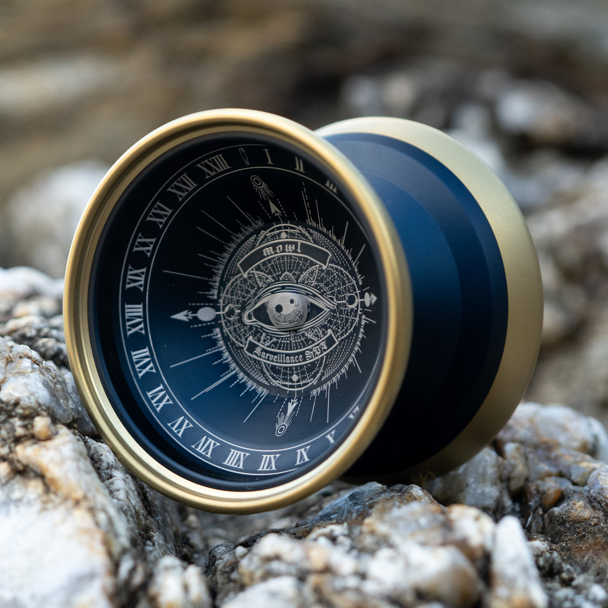 mowl サーベイランスHPF 右眼 Surveillance HPF – mowl