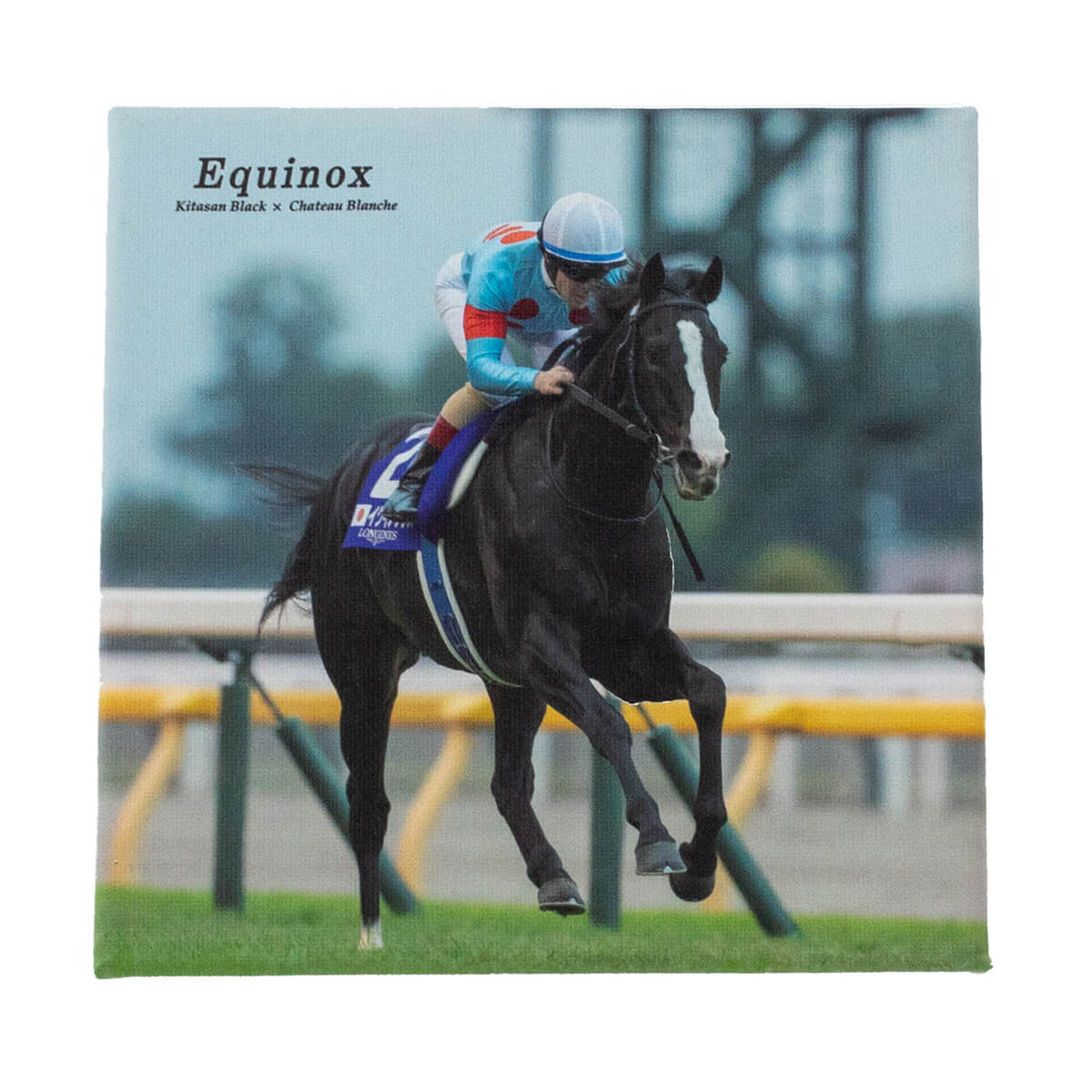 キャンバスボード イクイノックス ジャパンカップ2023 - 競馬グッズの