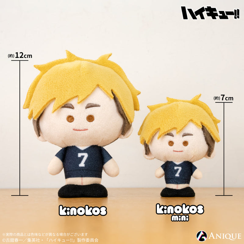 Anique Shop JAPAN