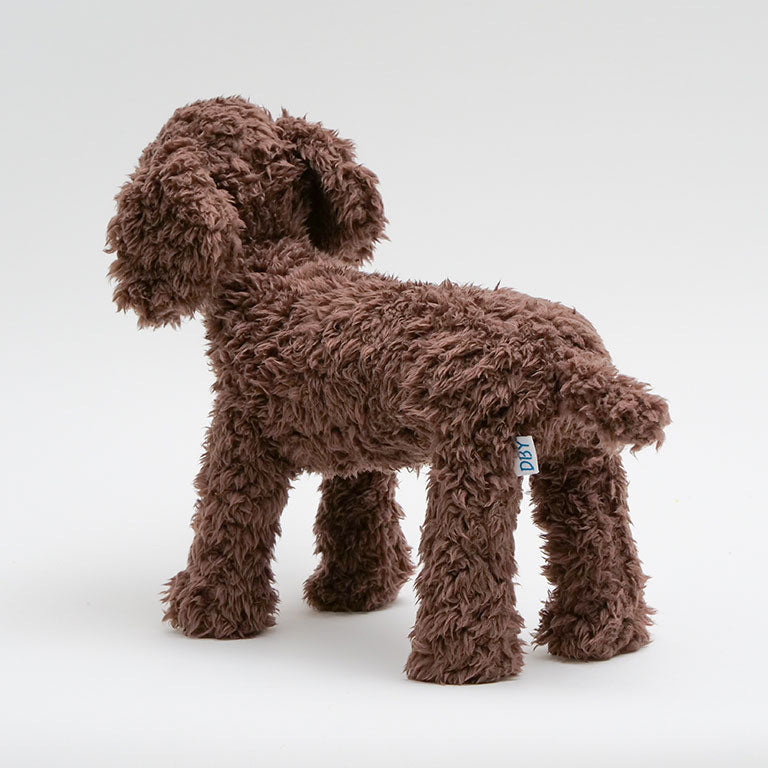 テディプードル ブラウン | DOGBASE YOKOHAMA