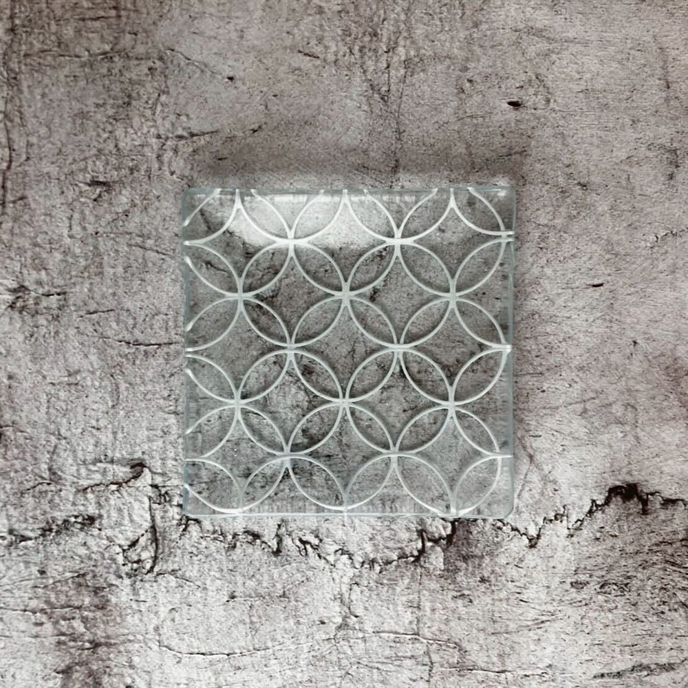 IMG_7673_1000x.jpg?v=1747664494