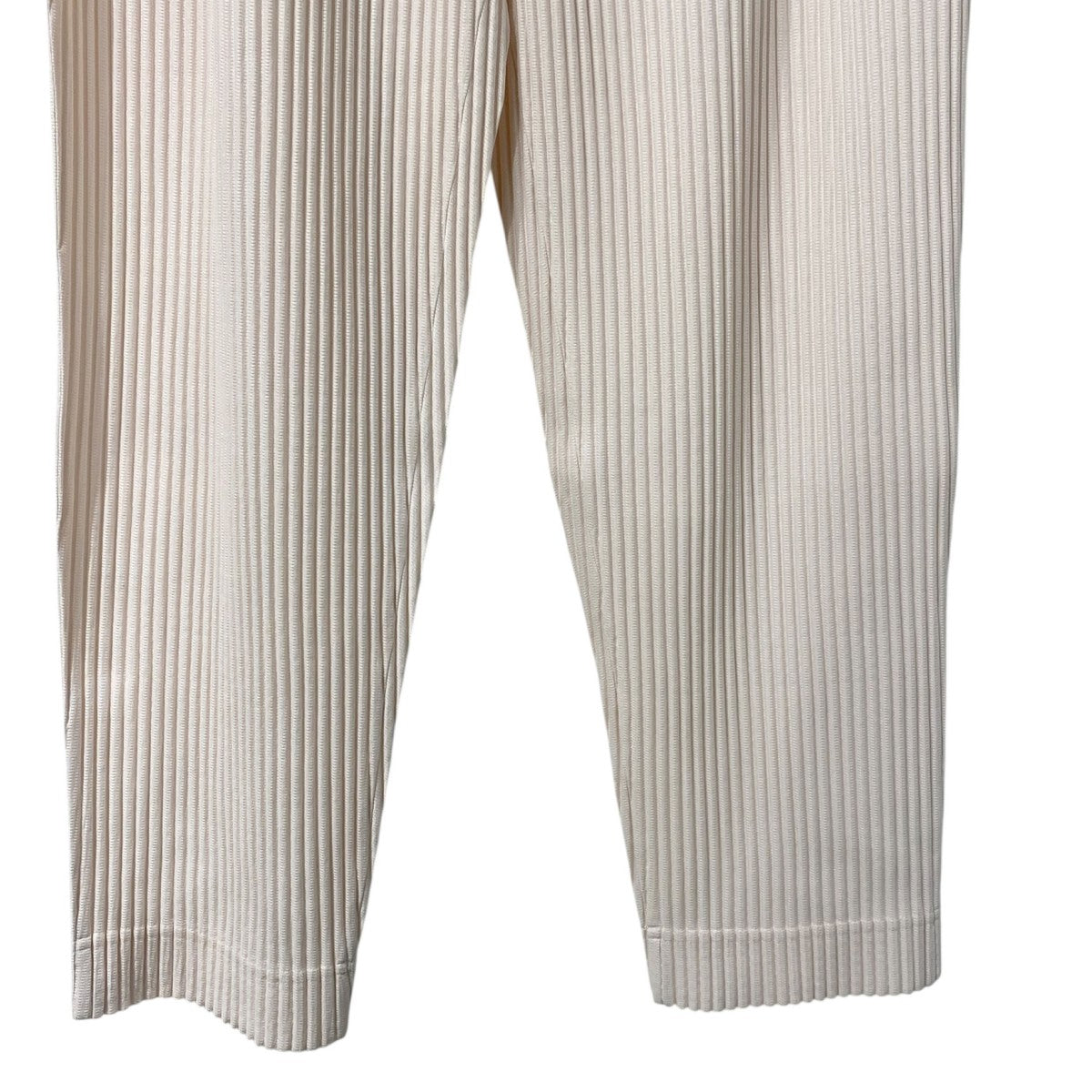 HOMME PLISSE ISSEY MIYAKE(イッセイミヤケオムプリッセ) 22AWPLEATS