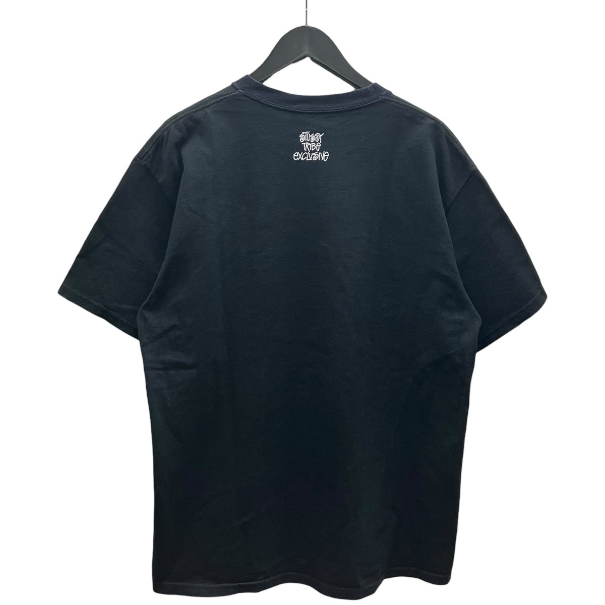 stussy(ステューシー) TRIBE EXCLUSIVE TEEプリントTシャツ ブラック