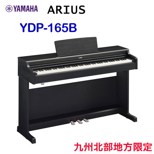 ydp165b.jpg