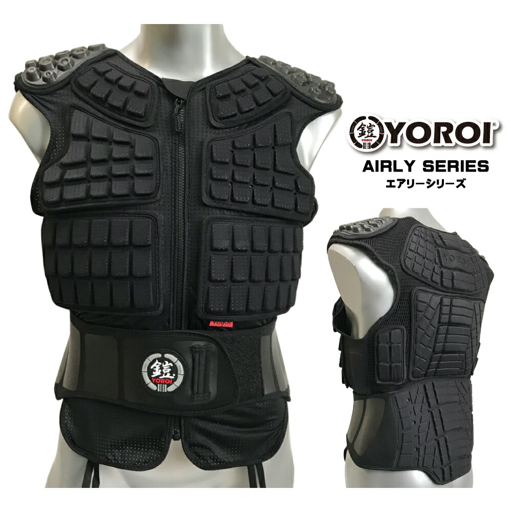 楽天市場】スノーボード スキー バックプロテクター 脊椎パッド 胸部