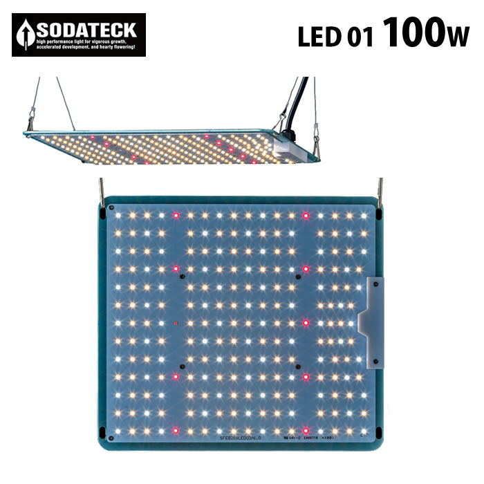 led01_100_700.jpg