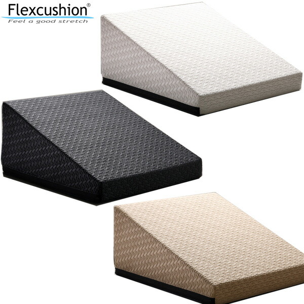 楽天市場】【15時迄の注文で即日出荷／日時指定必須】SANTEPLUS サンテ