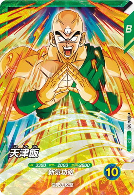 dbsd-sdv04-018.jpg