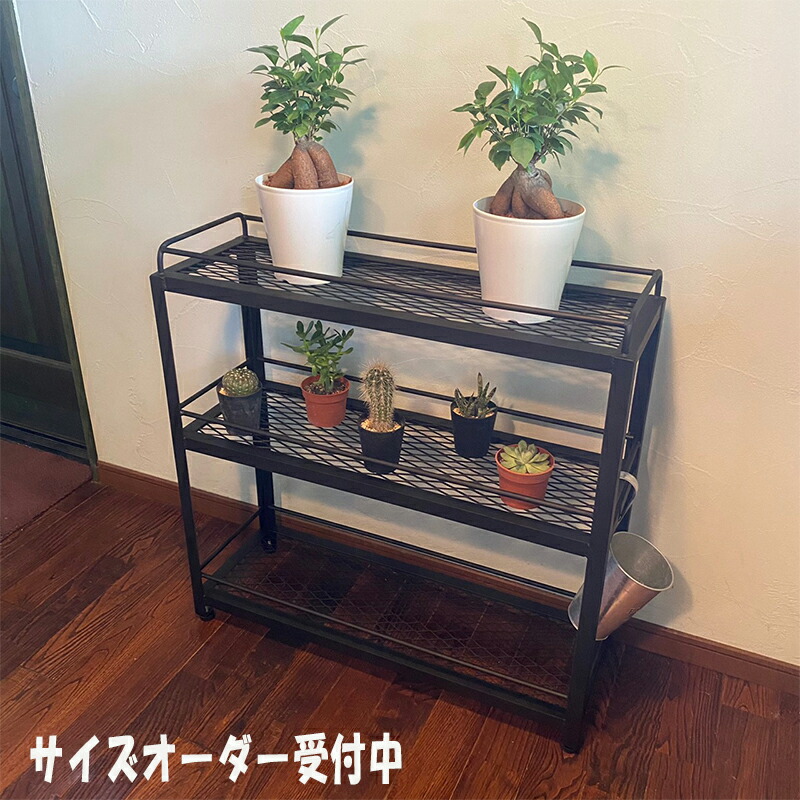 楽天市場】アイアン シェルフ 1段 ワイド 植物棚 幅600*高さ100*奥行