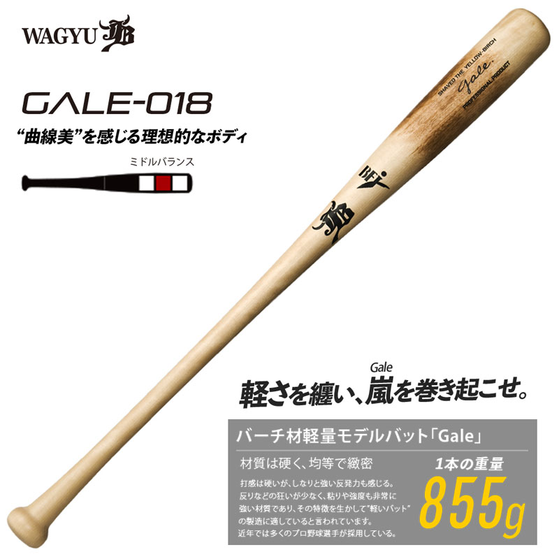 楽天市場】和牛JB バーチ材硬式木製バット (Gale) ゲイル野球 軽量