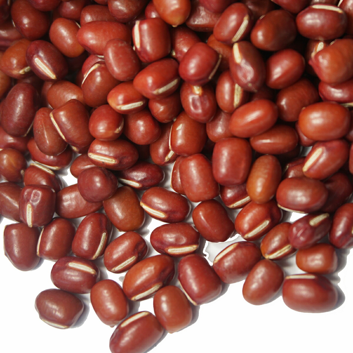 楽天市場】2025年度産 北海道 北斗産 小豆 1kg アメ横 大津屋 azuki