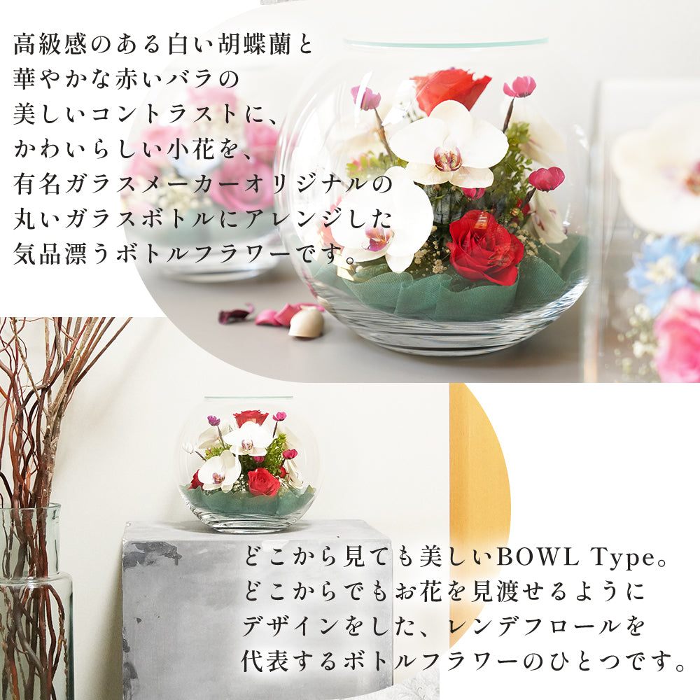 Bowl L (B-L) ボトルフラワー – レンデフロール