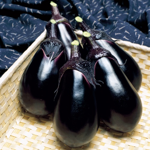 ナス・SL紫水 農水省登録品種（品種名：TNA029）| 種・苗