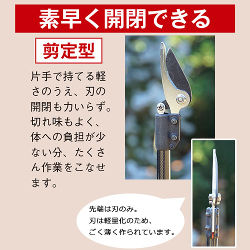 高枝切鋏 カーボンチョキ シリーズ 180PCC-1.8D（剪定型）| 種・苗