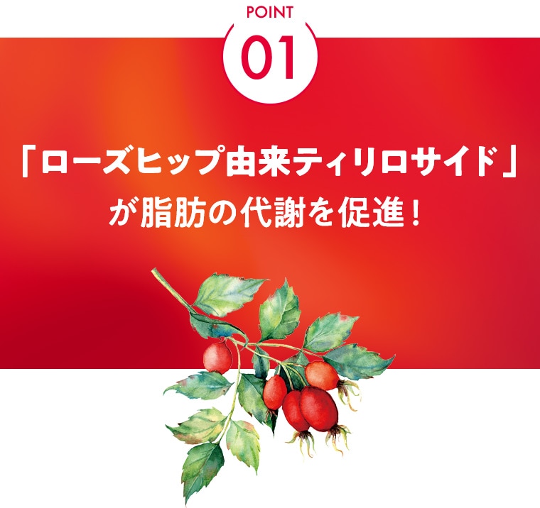 FBドリンクR_50mL×10本入(1箱): TBCサプリメント｜TBCオンラインショップ