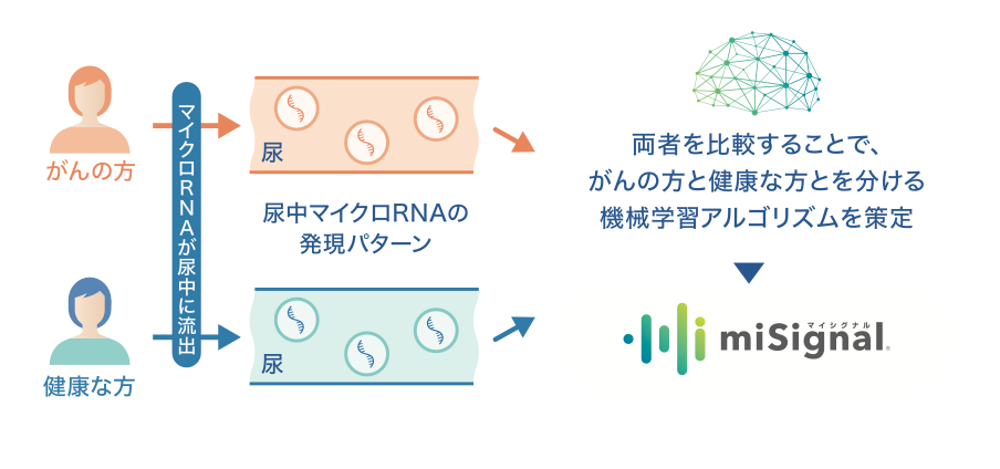 マイシグナル・スキャン misignal scan (尿がん検査 / 7種のがんリスク