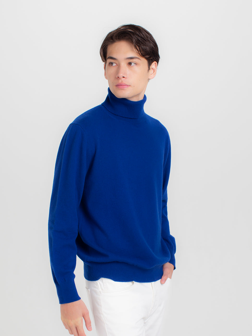 日本製】カシミヤ100% ベーシック タートルネック セーター メンズ