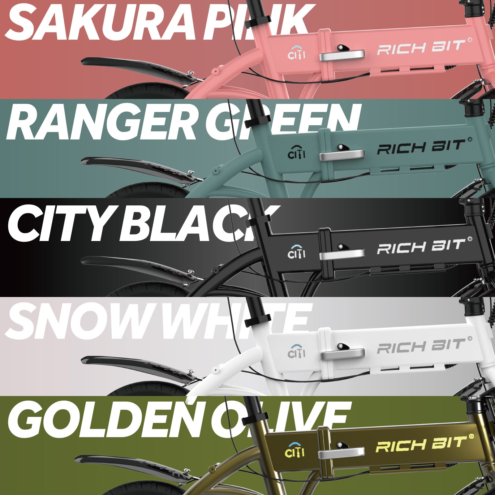 RICHBIT CITY ASSIST 電動アシスト自転車 型式認定取得済 – vatrixjapan